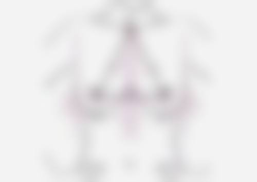 合肥维多利亚整形医院双眼皮技术：妈生感技术的神奇