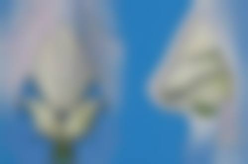 全切双眼皮多久红色线能消失之让红痕提前下岗秘籍