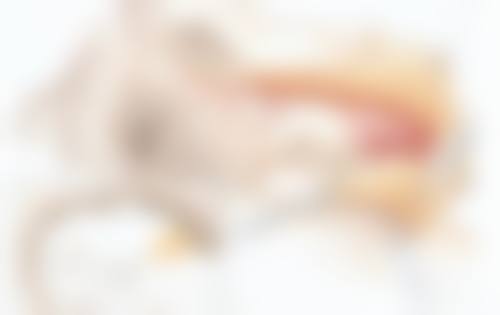 产品推荐:梳妆台上的“秘密武器”,助力抗“沟”大战