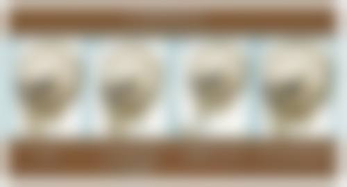 总结：理性变得更美，安心第一