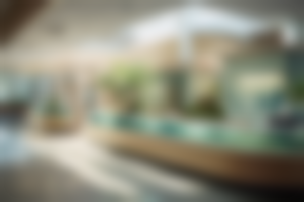 郑州一本雅致整形医院