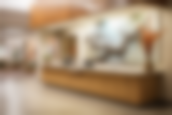 广西柳州解放军158医院整形美容中心