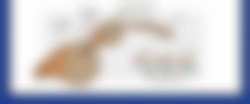 影响自体脂肪移植隆胸成效的身体状况因素好吗