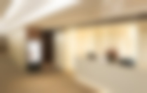 韩国毛杰琳整形外科医生简介