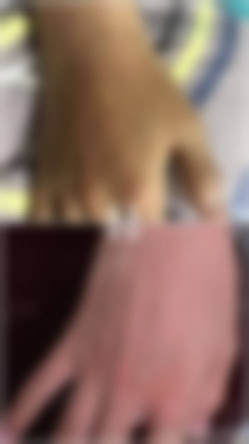 北京东方合生缘整形医院项目特色