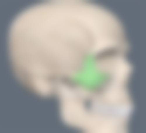 有眼袋应该怎么办之医美方案：当自然疗法不够用时