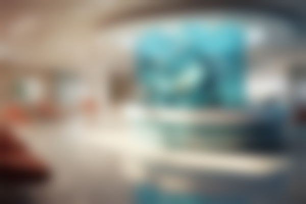 北京永成魅力医疗美容医院项目特色