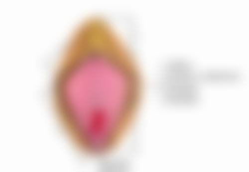 广州中家医家庭医生医疗美容门诊部美容牙科顾客实例