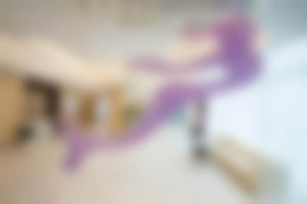 柏睿医生简介项目优势