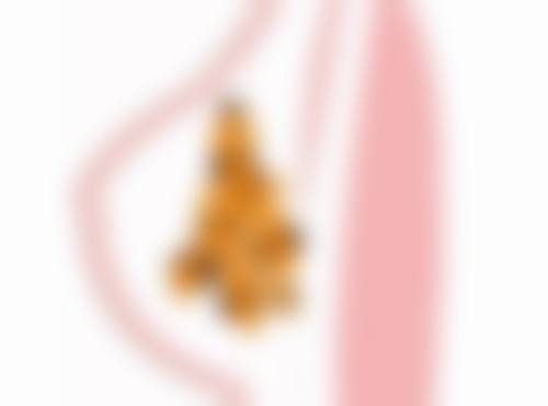 广东医学校附属医院项目特色