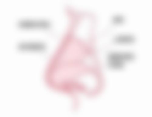 沙红玲医生简介项目优势