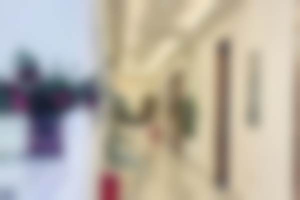 罗家宁医生简介项目优势