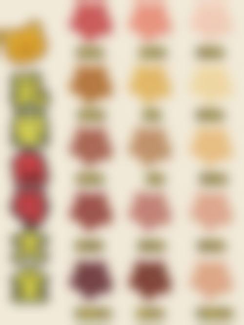 武汉媄妲医疗美容资质详情