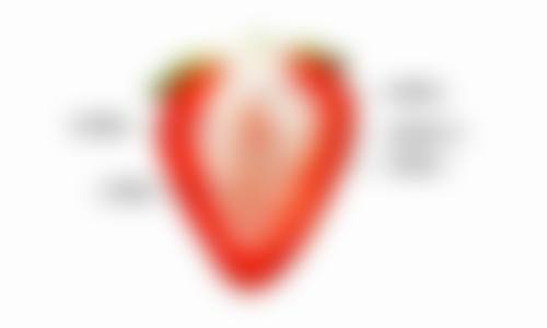 五、隆鼻线提升取出后修复情况解读