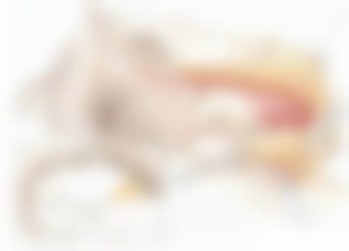 唐辉医生简介项目优势