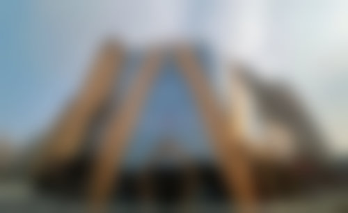 王国锋医生简介项目优势