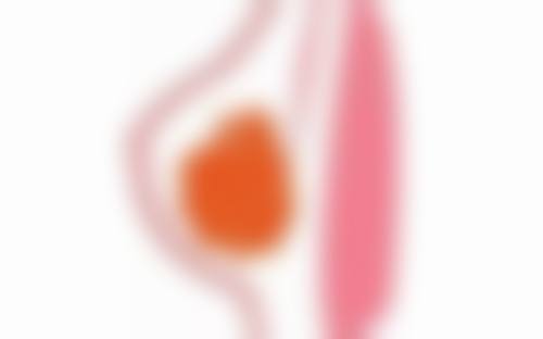 广水市第一人民医院整形美容科价格表