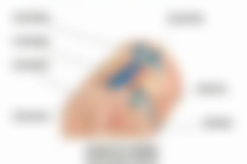 郑志峰医生口碑如何