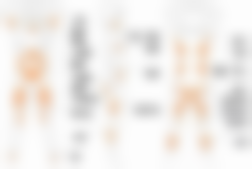 沈洪波医生怎么挂号