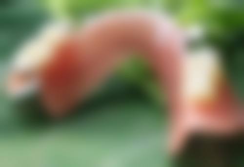 周亚萍医生简介怎么挂号