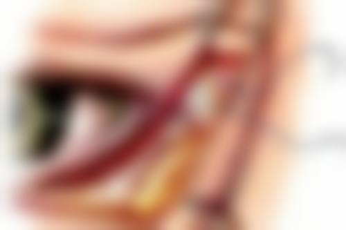 美丽与健康兼得，从耐心等待开始