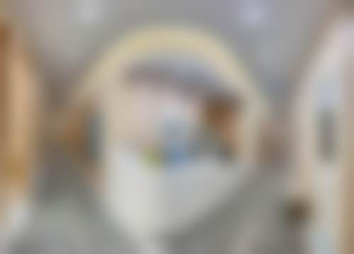 蕾士悦容欧洲之星项目优势