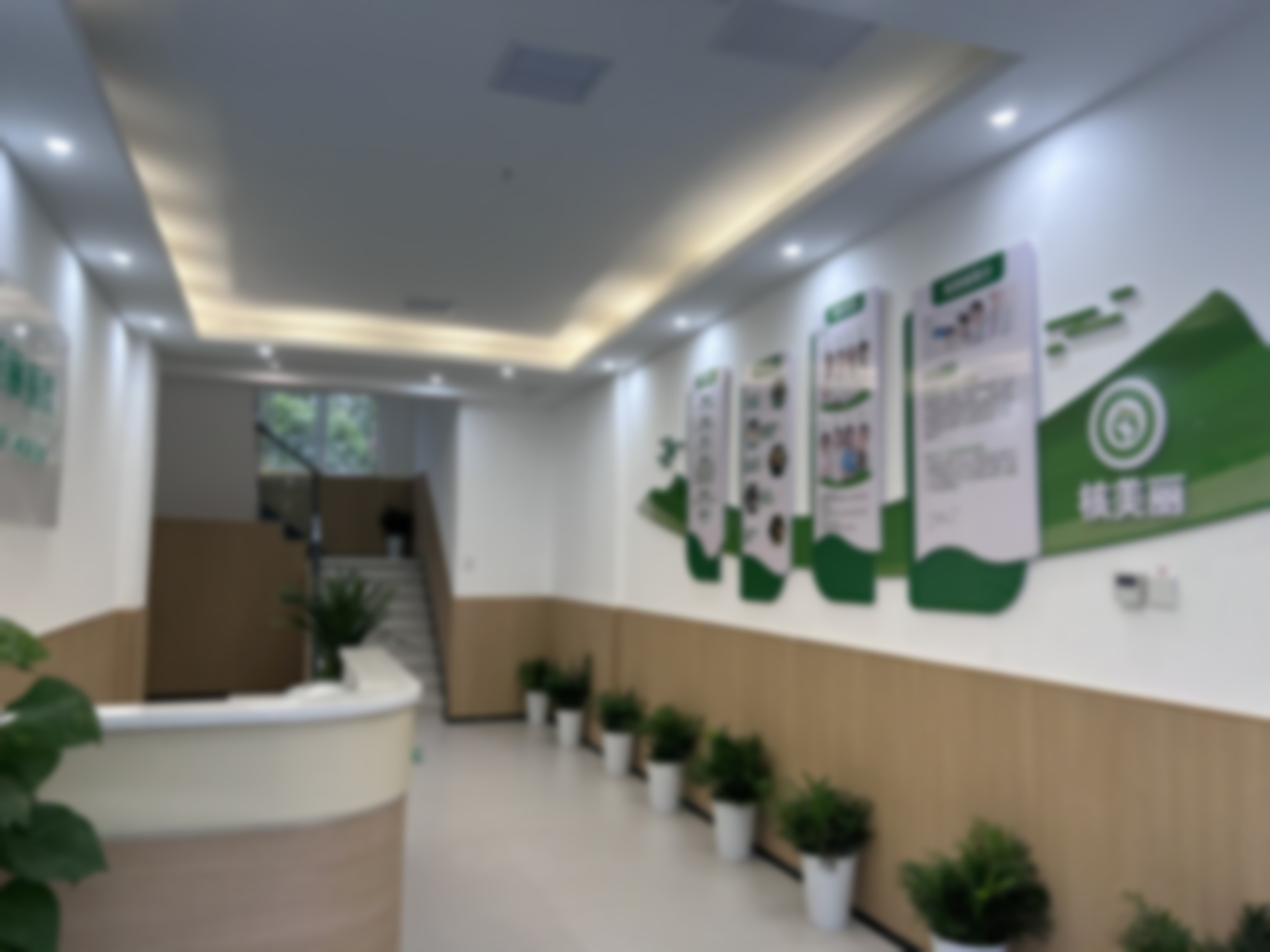 湖南省未提及收费价格表——岳阳市中 心医院