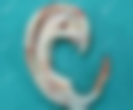 祝建清医生简介项目优势