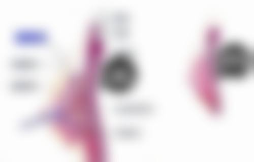 金仍坤医生项目优势