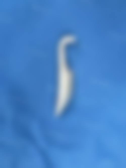 上海武警医院整形美容中 心地址及乘车路线