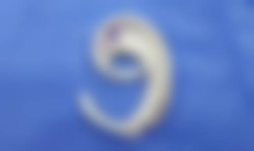 烟台神线医疗美容诊所怎么样,怎么挂号,地址在哪儿