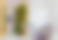 北京呈美医疗美容诊所怎么样，怎么挂号，地址在哪儿