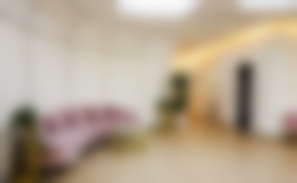 上海市陈丽丹和杜园园怎么选之陈丽丹低预算优势解析