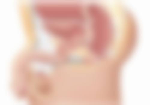 北京梵丽医疗美容诊所更擅长什么手术