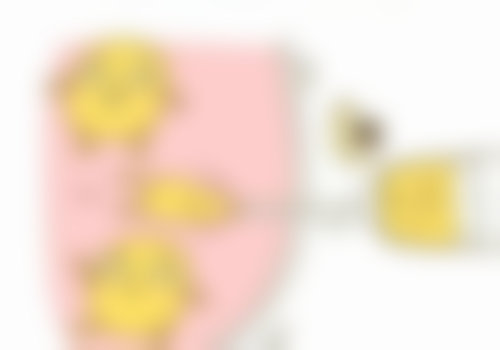 吐鲁番市人民医院整形外科医生简介