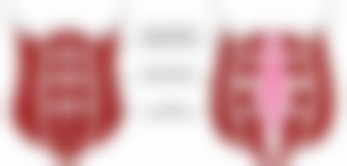 许凡平医生骨干医生寄语