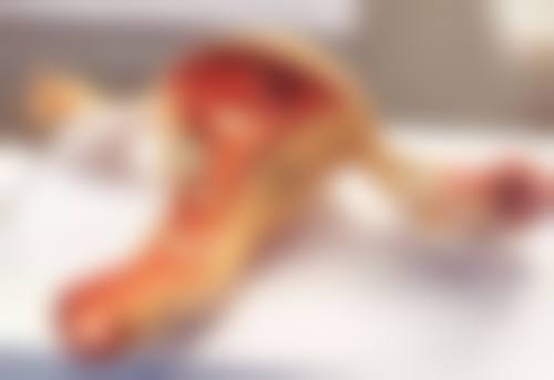 上海与广州半肋骨隆鼻不同保养之道