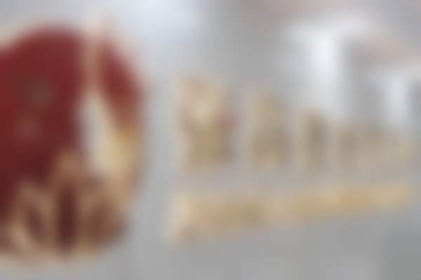 呼和浩特青城丽格医疗美容门诊部基本情况