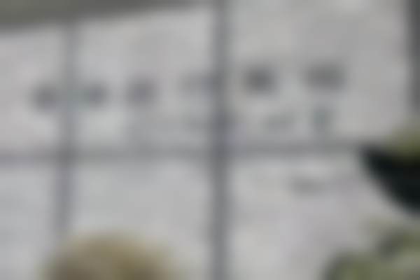 李丽华医生简介医生顾客实例图片