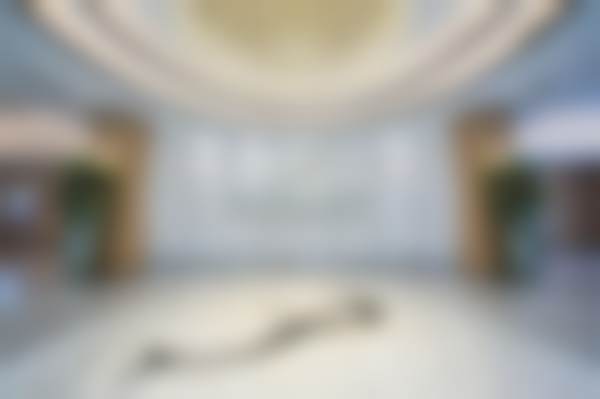 朴一飞医生项目优势