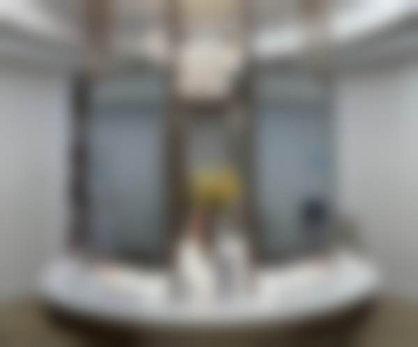 郑州曙光植发汪正伟手术成功几率——合肥高第植发连锁特色