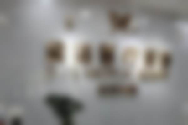 天津南开紫洁医疗美容门诊部基本情况