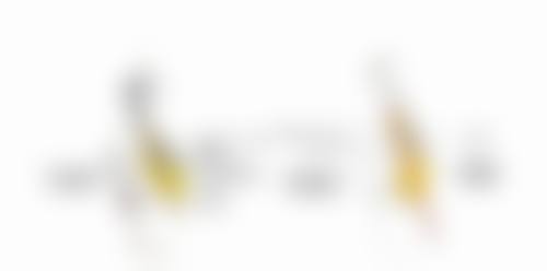 注射隆鼻一般能管多久：快速但短暂的美丽