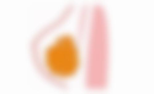 广州睿斯整形门诊部的特色项目