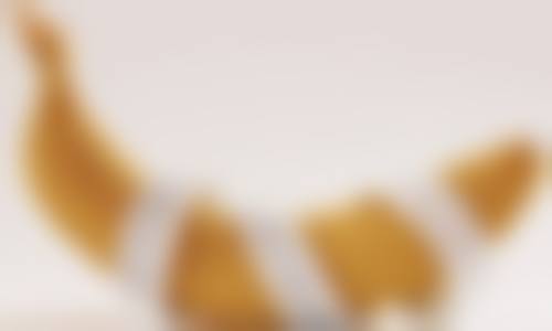 王广胜医生简介项目优势