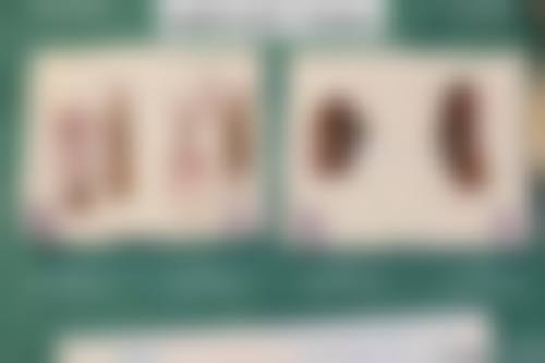 韩国SHESWELL妇科医院综合评价