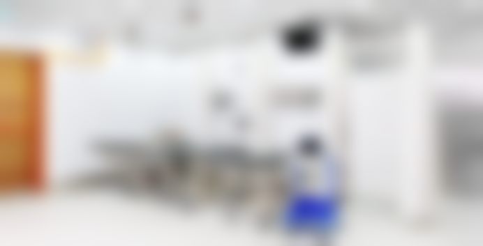 孙星日（仁川院）