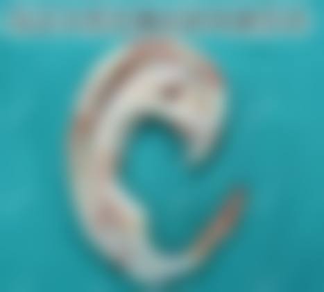 易南方医生简介口碑如何