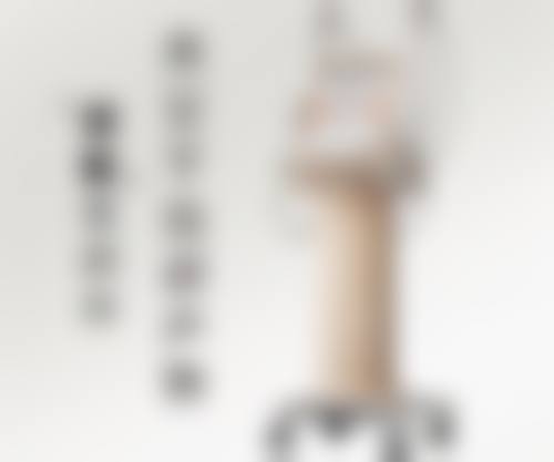 三门峡华美整形医院项目特色