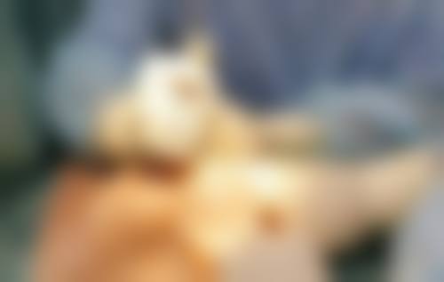 长沙妇幼保健院整形科怎么样,正规吗?